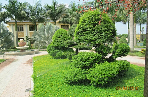 Villa-Anh-Trịnh-2